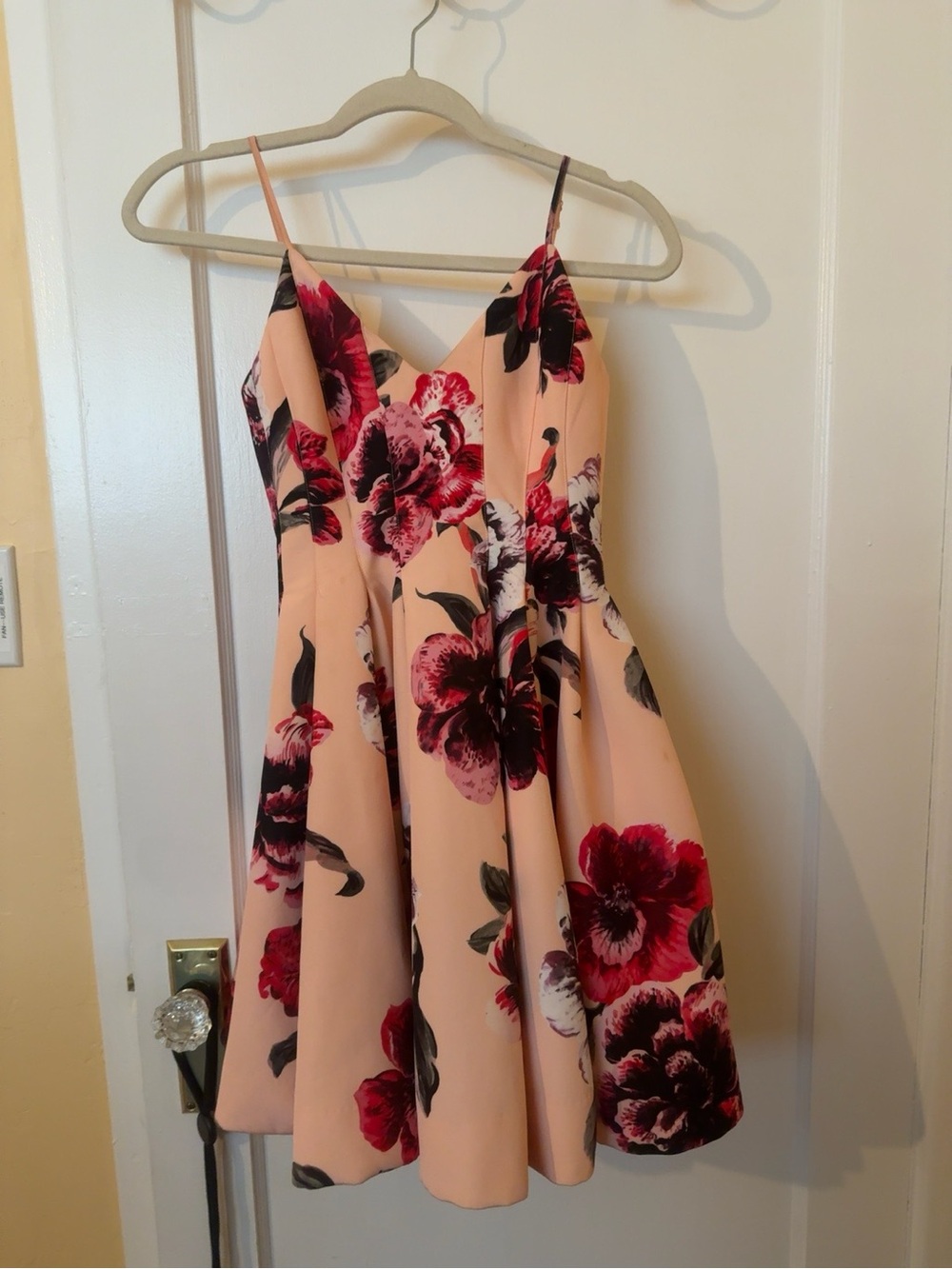 KEEPSAKE the Label Peach Dress with Red Floral Print